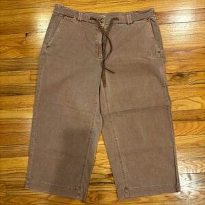 J Jill Women’s Brown Casual Pants